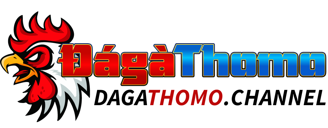 Đá gà thomo trực tiếp