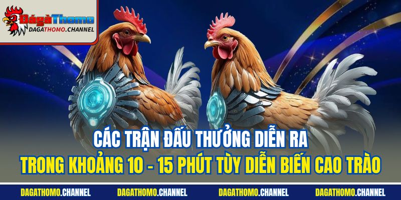 Các trận đấu thưởng diễn ra trong khoảng 10 - 15 phút tùy diễn biến cao trào