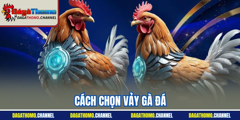 Cách Chọn Vảy Gà Đá | Các Vảy Hay - Xấu Sư Kê Bật Mí 2025