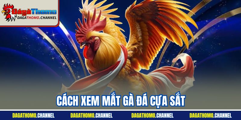 Cách Xem Mắt Gà Đá Cựa Sắt | Kinh Nghiệm Chuẩn Sư Kê