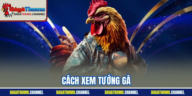 Cách Xem Tướng Gà | Tổng Hợp Cách Nhìn Chuyên Gia 2025