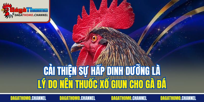 Cải thiện sự hấp dinh dưỡng là lý do nên thuốc xổ giun cho gà đá