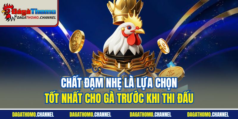 Chất đạm nhẹ là lựa chọn tốt nhất cho gà trước khi thi đấu