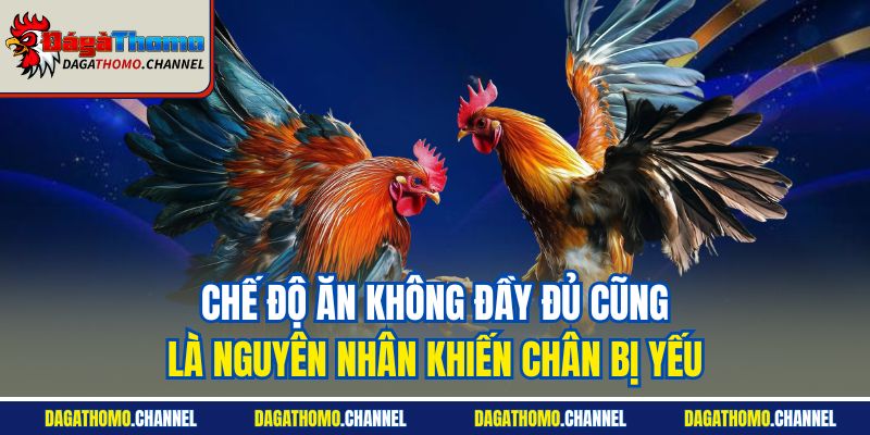 Chế độ ăn không đầy đủ cũng là nguyên nhân khiến chân bị yếu