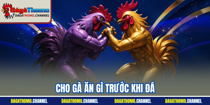 Cho Gà Ăn Gì Trước Khi Đá - Bật Mí Chế Độ Dinh Dưỡng Phù Hợp