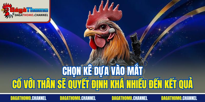 Chọn kê dựa vào mắt, cổ với thân sẽ quyết định khá nhiều đến kết quả