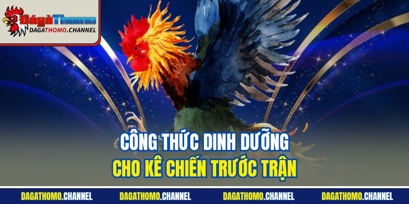 Công thức dinh dưỡng cho kê chiến trước trận