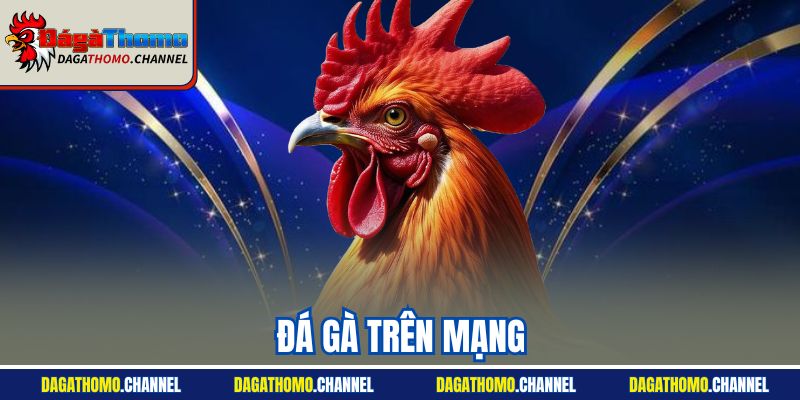Đá Gà Trên Mạng - Hình Thức Cá Cược Trực Tuyến Hot Nhất 2025