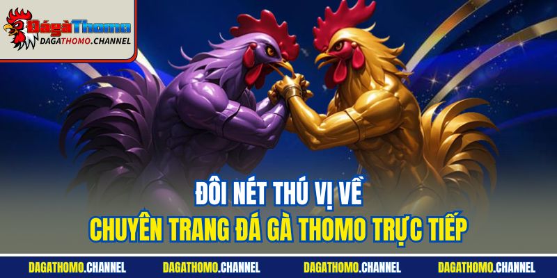 Đôi nét thú vị về chuyên trang Đá gà Thomo trực tiếp