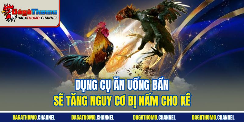 Dụng cụ ăn uống bẩn sẽ tăng nguy cơ bị nấm cho kê