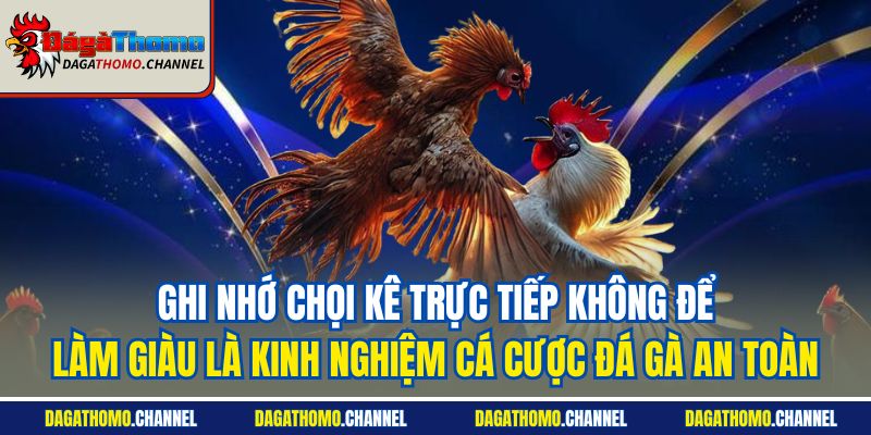Ghi nhớ chọi kê trực tiếp không để làm giàu là kinh nghiệm cá cược đá gà an toàn