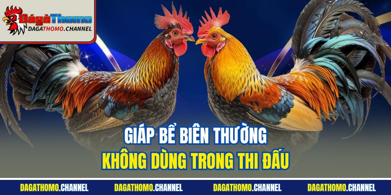 Giáp bể biên thường không dùng trong thi đấu