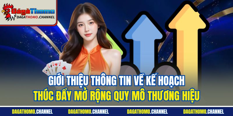 Giới thiệu thông tin về kế hoạch thúc đẩy mở rộng quy mô thương hiệu