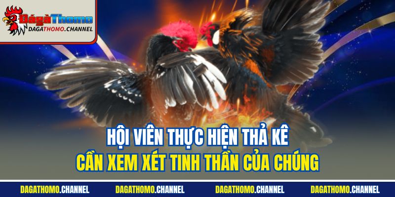 Hội viên thực hiện thả kê cần xem xét tinh thần của chúng