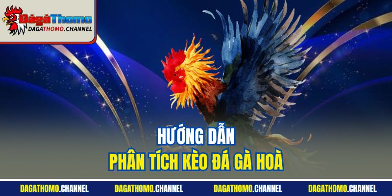 Hướng dẫn phân tích kèo đá gà hoà