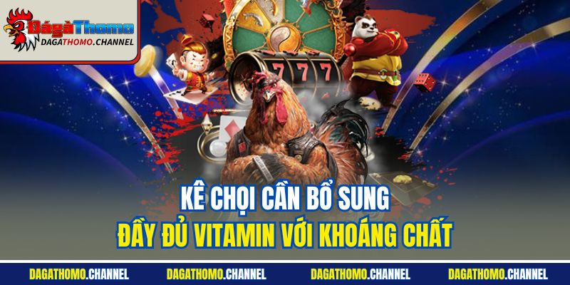 Kê chọi cần bổ sung đầy đủ vitamin với khoáng chất
