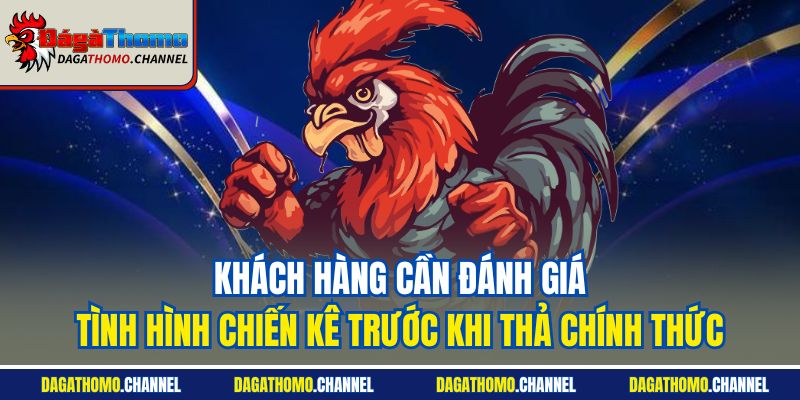 Khách hàng cần đánh giá tình hình chiến kê trước khi thả chính thức