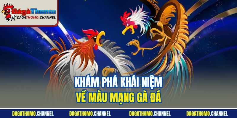 Khám phá khái niệm về màu mạng gà đá