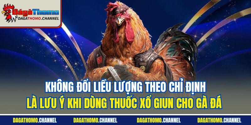 Không đổi liều lượng theo chỉ định là lưu ý khi dùng thuốc xổ giun cho gà đá 