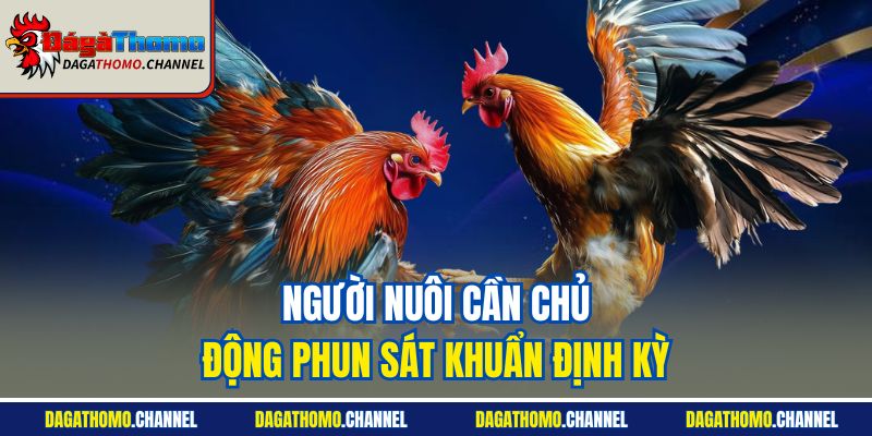 Người nuôi cần chủ động phun sát khuẩn định kỳ