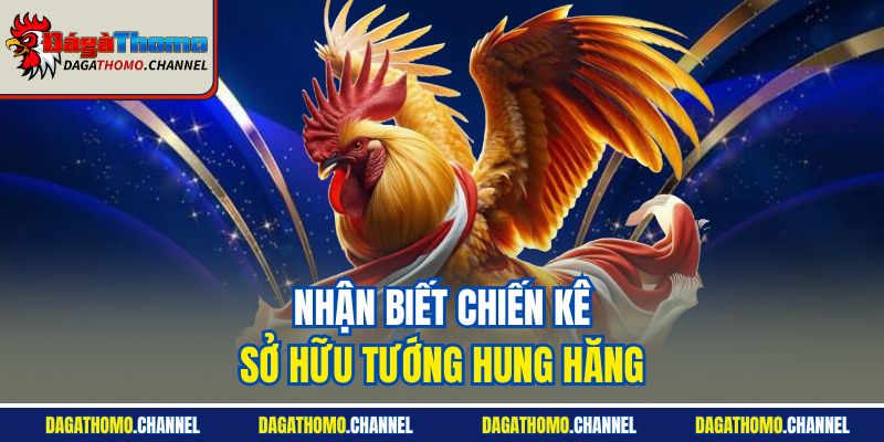 Nhận biết chiến kê sở hữu tướng hung hăng