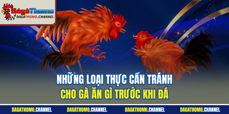 Những loại thực cần tránh - Cho gà ăn gì trước khi đá