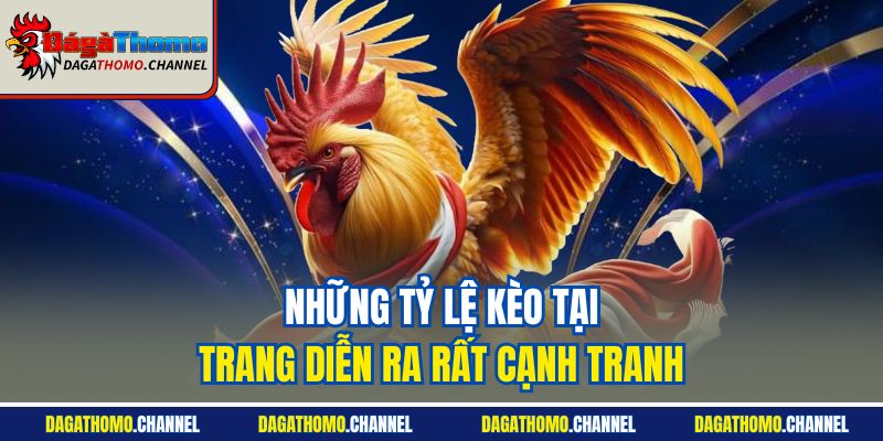 Những tỷ lệ kèo tại trang diễn ra rất cạnh tranh