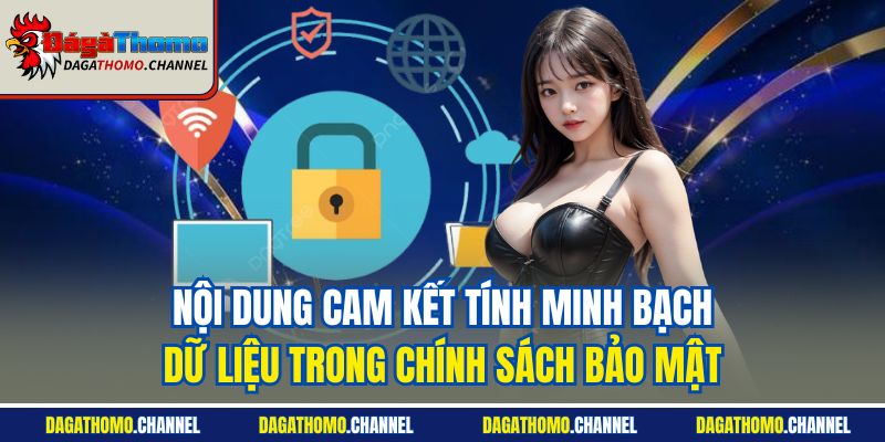 Nội dung cam kết tính minh bạch dữ liệu trong chính sách bảo mật