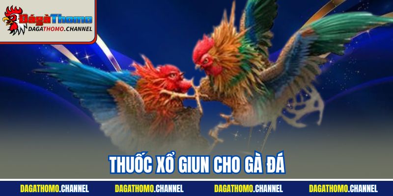 Thuốc Xổ Giun Cho Gà Đá - Tiết Lộ Các Sản Phẩm Tốt Nhất