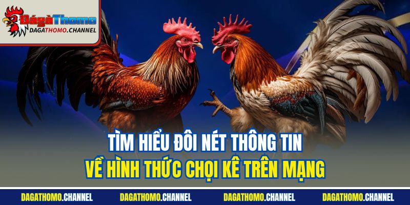 Tìm hiểu đôi nét thông tin về hình thức chọi kê trên mạng