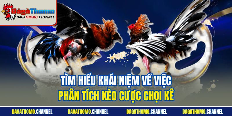 Tìm hiểu khái niệm về việc phân tích kèo cược chọi kê