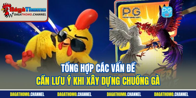 Tổng hợp các vấn đề cần lưu ý khi xây dựng chuồng gà