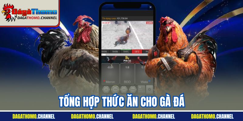 Tổng Hợp Thức Ăn Cho Gà Đá | Kinh Nghiệm Từ Sư Kê 2025