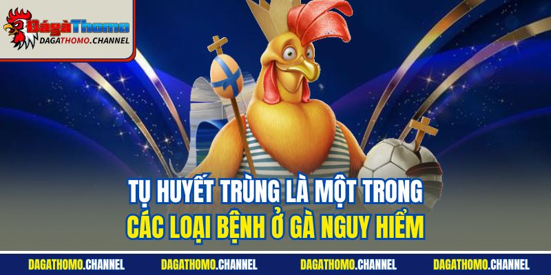 Tụ huyết trùng là một trong các loại bệnh ở gà nguy hiểm