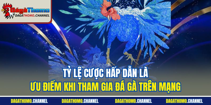 Tỷ lệ cược hấp dẫn là ưu điểm khi tham gia đá gà trên mạng