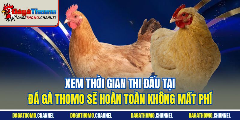 Xem thời gian thi đấu tại Đá gà Thomo sẽ hoàn toàn không mất phí